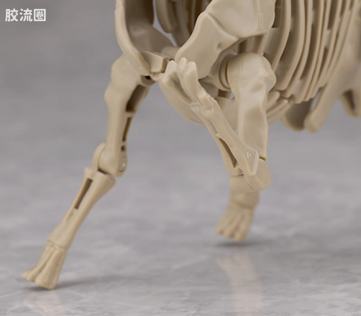 万代综合拼装模型系列 Plannosaurus <侏罗纪世界 重生> 泰坦巨龙 - 图片